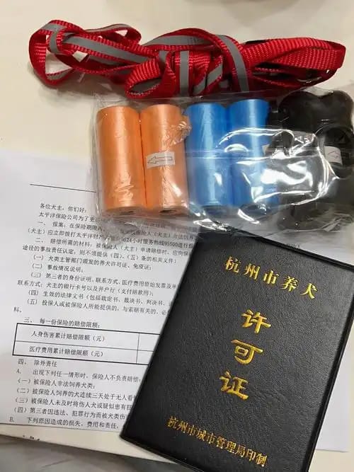 博达证件制作公司专业制作各种证件电话：藏在巷子里的靠谱商家，我替你们踩过雷了！